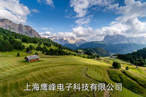 鷹峰電子，被鷹峰電子開除的員工還要么