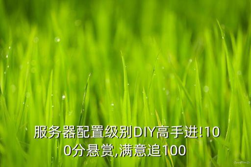  服務(wù)器配置級別DIY高手進(jìn)!100分懸賞,滿意追100