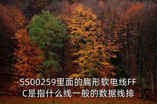 SS00259里面的扁形軟電線FFC是指什么線一般的數(shù)據(jù)線排
