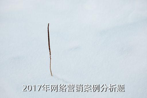 數(shù)據(jù)分析營銷網(wǎng)站實例,網(wǎng)絡營銷:如何進行營銷數(shù)據(jù)分析?