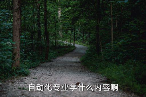 自動化專業(yè)學(xué)什么內(nèi)容啊