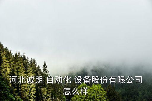 河北誠朗 自動(dòng)化 設(shè)備股份有限公司怎么樣