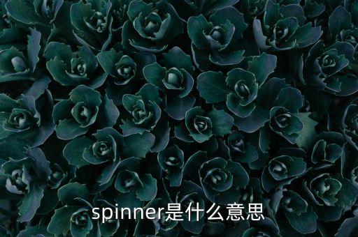 spinner，spinner是什么意思