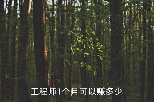 工程師1個月可以賺多少