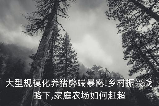 大型規(guī)?；B(yǎng)豬弊端暴露!鄉(xiāng)村振興戰(zhàn)略下,家庭農(nóng)場(chǎng)如何趕超