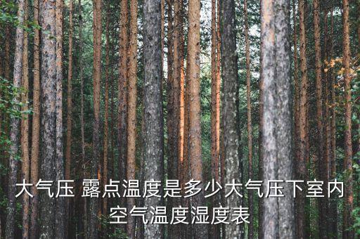大氣壓 露點(diǎn)溫度是多少大氣壓下室內(nèi)空氣溫度濕度表