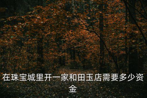 在珠寶城里開一家和田玉店需要多少資金
