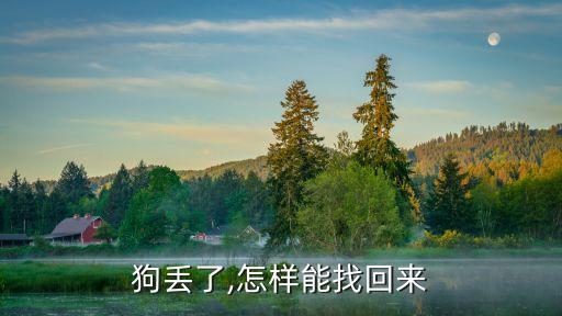 找狗,如何尋找走丟的狗狗?