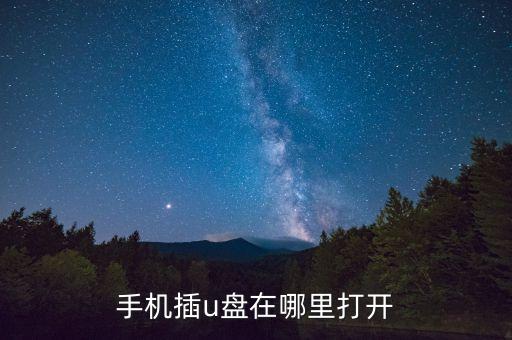 手機插u盤在哪里打開