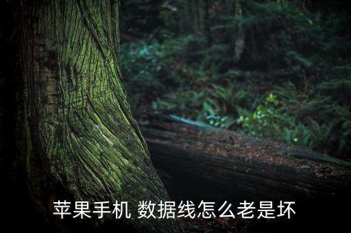 蘋果手機 數據線怎么老是壞
