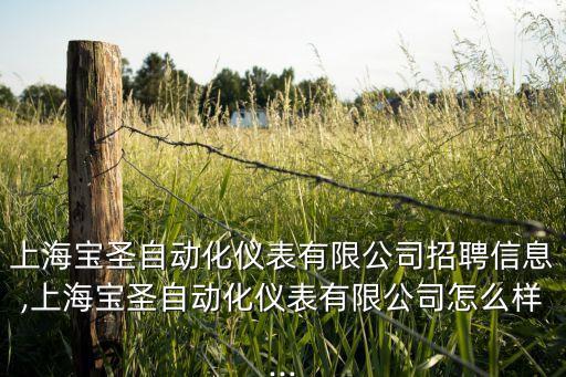上海寶圣自動化儀表有限公司招聘信息,上海寶圣自動化儀表有限公司怎么樣...