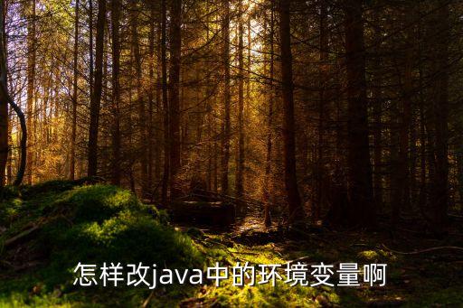 怎樣改java中的環(huán)境變量啊