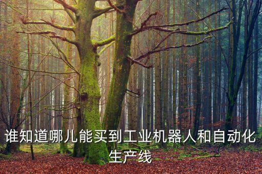 工業(yè)化工自動化設(shè)備,什么是工業(yè)自動化?