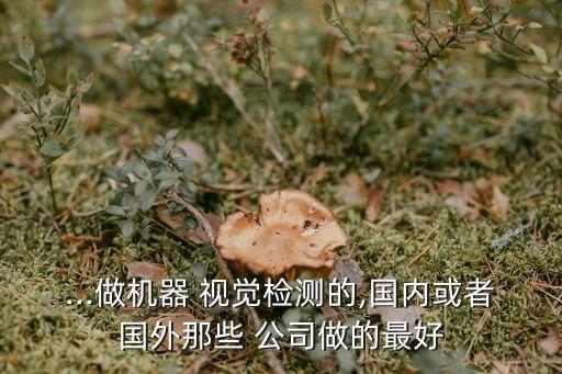 ...做機(jī)器 視覺(jué)檢測(cè)的,國(guó)內(nèi)或者國(guó)外那些 公司做的最好