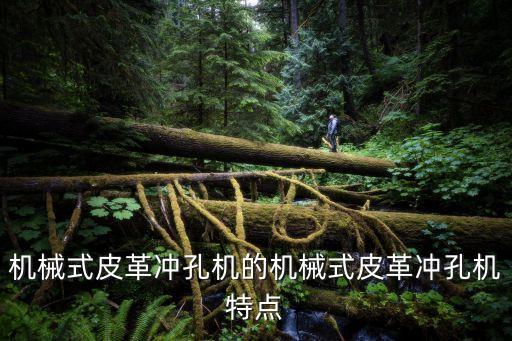 機(jī)械式皮革沖孔機(jī)的機(jī)械式皮革沖孔機(jī)特點(diǎn)