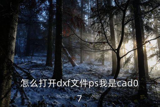 怎么打開dxf文件ps我是cad07