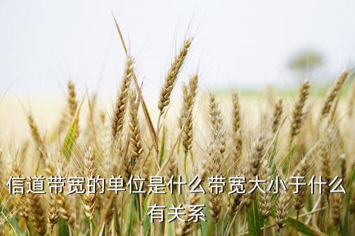 信道帶寬，數(shù)字通信系統(tǒng)的信道帶寬是什么