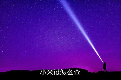 小米id怎么查