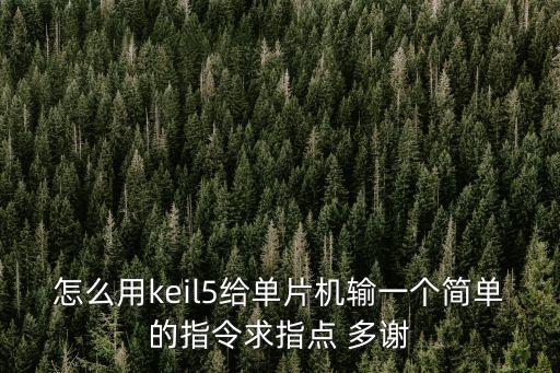 keil5，如何使用keil 5 編寫 51單片機(jī) 工程