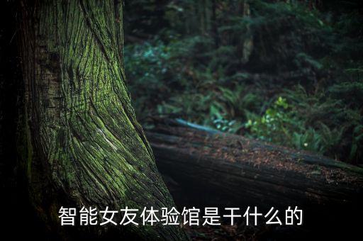 智能女友體驗(yàn)館是干什么的