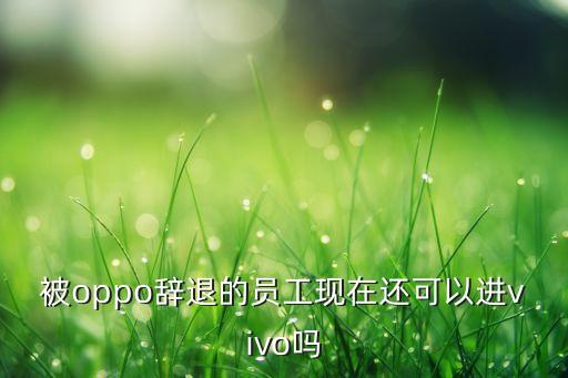 oppo裁員，被oppo辭退的員工現(xiàn)在還可以進(jìn)vivo嗎