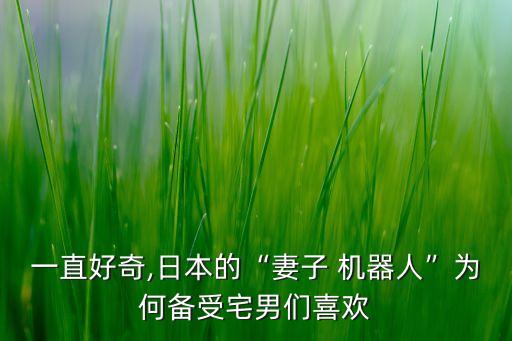 中國的美女機器人圖片,美女機器人價格及圖片