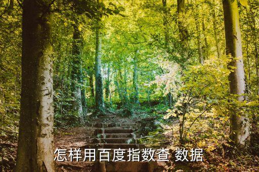 數(shù)據(jù)分享平臺,云端大數(shù)據(jù)平臺