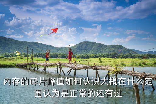 內(nèi)存的碎片峰值如何認(rèn)識(shí)大概在什么范圍認(rèn)為是正常的還有過