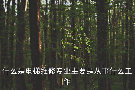什么是電梯維修專業(yè)主要是從事什么工作