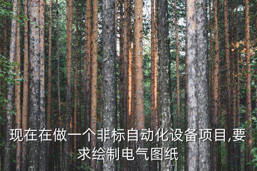 現(xiàn)在在做一個(gè)非標(biāo)自動(dòng)化設(shè)備項(xiàng)目,要求繪制電氣圖紙