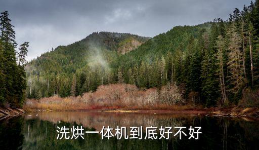 洗烘一體機(jī)到底好不好