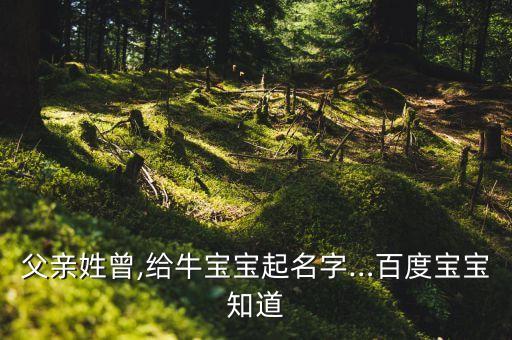 父親姓曾,給牛寶寶起名字…百度寶寶知道