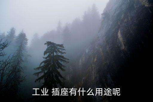工業(yè) 插座有什么用途呢