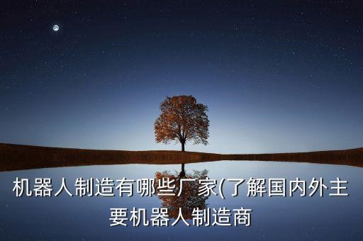 機(jī)器人制造有哪些廠家(了解國內(nèi)外主要機(jī)器人制造商