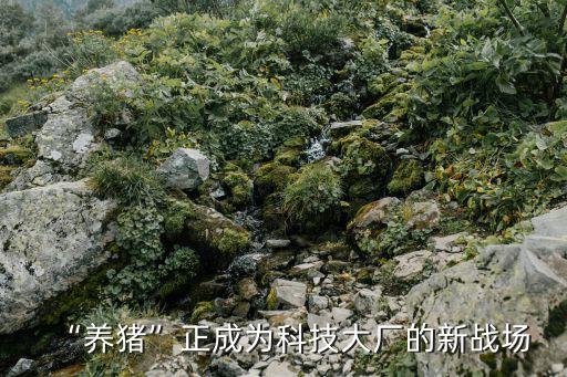 鄭州養(yǎng)豬自動化設(shè)備廠家,自動化養(yǎng)豬設(shè)備有哪些?