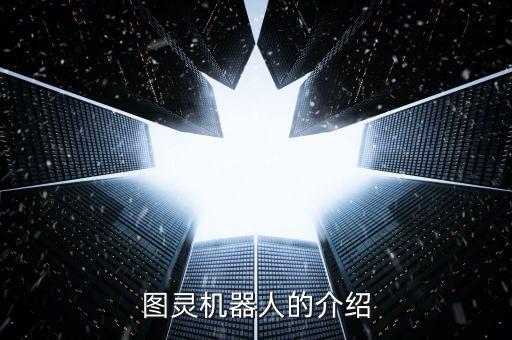 圖靈機(jī)器人的介紹