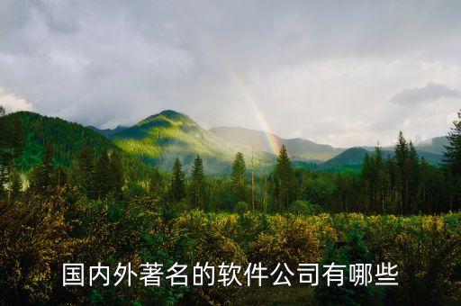 國內(nèi)外著名的軟件公司有哪些