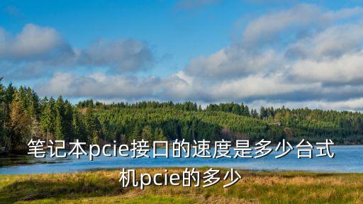 筆記本pcie接口的速度是多少臺式機pcie的多少