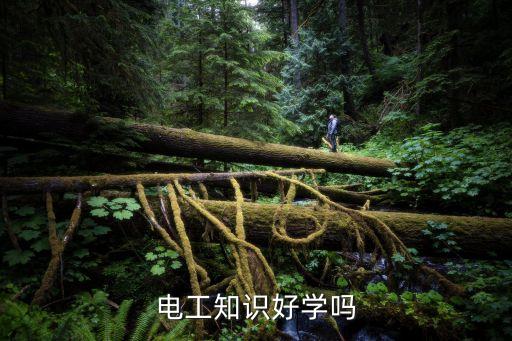 電工知識(shí)好學(xué)嗎