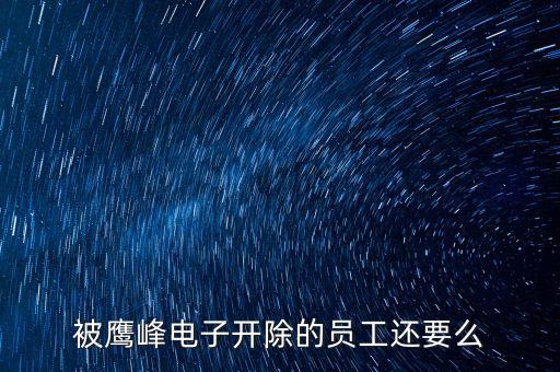 被鷹峰電子開除的員工還要么
