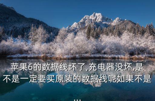 蘋果6的數(shù)據(jù)線壞了,充電器沒壞,是不是一定要買原裝的數(shù)據(jù)線呢如果不是...