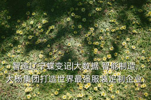 大數(shù)據(jù)馮橙演講,你還以為大數(shù)據(jù)數(shù)據(jù)大?