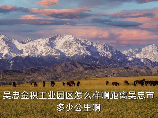 吳忠金積工業(yè)園區(qū)怎么樣啊距離吳忠市多少公里啊