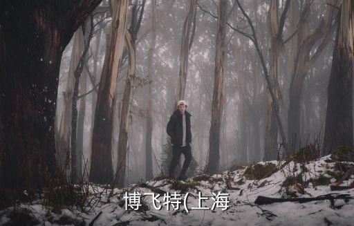 上海博飛特設(shè)備自動化,這家自動化設(shè)備公司怎么樣?