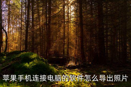 如何用數(shù)據(jù)線導(dǎo)出照片,手機(jī)怎么導(dǎo)出照片?