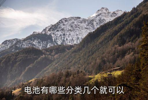 電池有哪些分類幾個就可以
