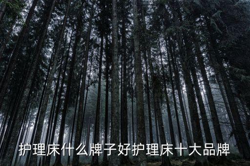 護(hù)理床什么牌子好護(hù)理床十大品牌
