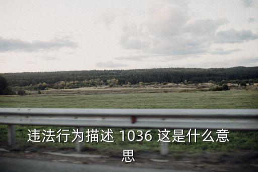 違法行為描述 1036 這是什么意思