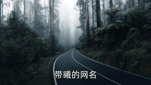 帶曦的網(wǎng)名