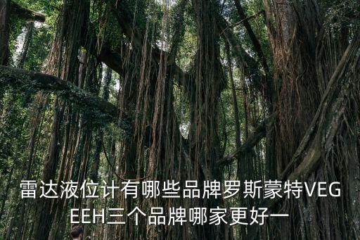 雷達(dá)液位計(jì)有哪些品牌羅斯蒙特VEGEEH三個(gè)品牌哪家更好一